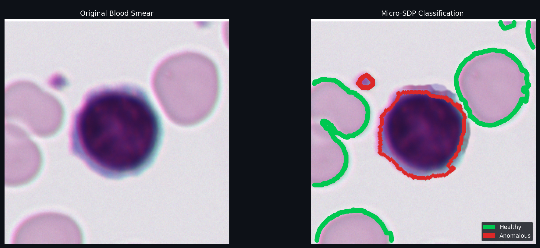 Each cell classified automatically
